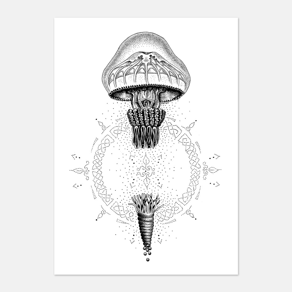 Transcendence Under The Sea: Lessons From The Immortal Jellyfish - Karien Bredenkamp