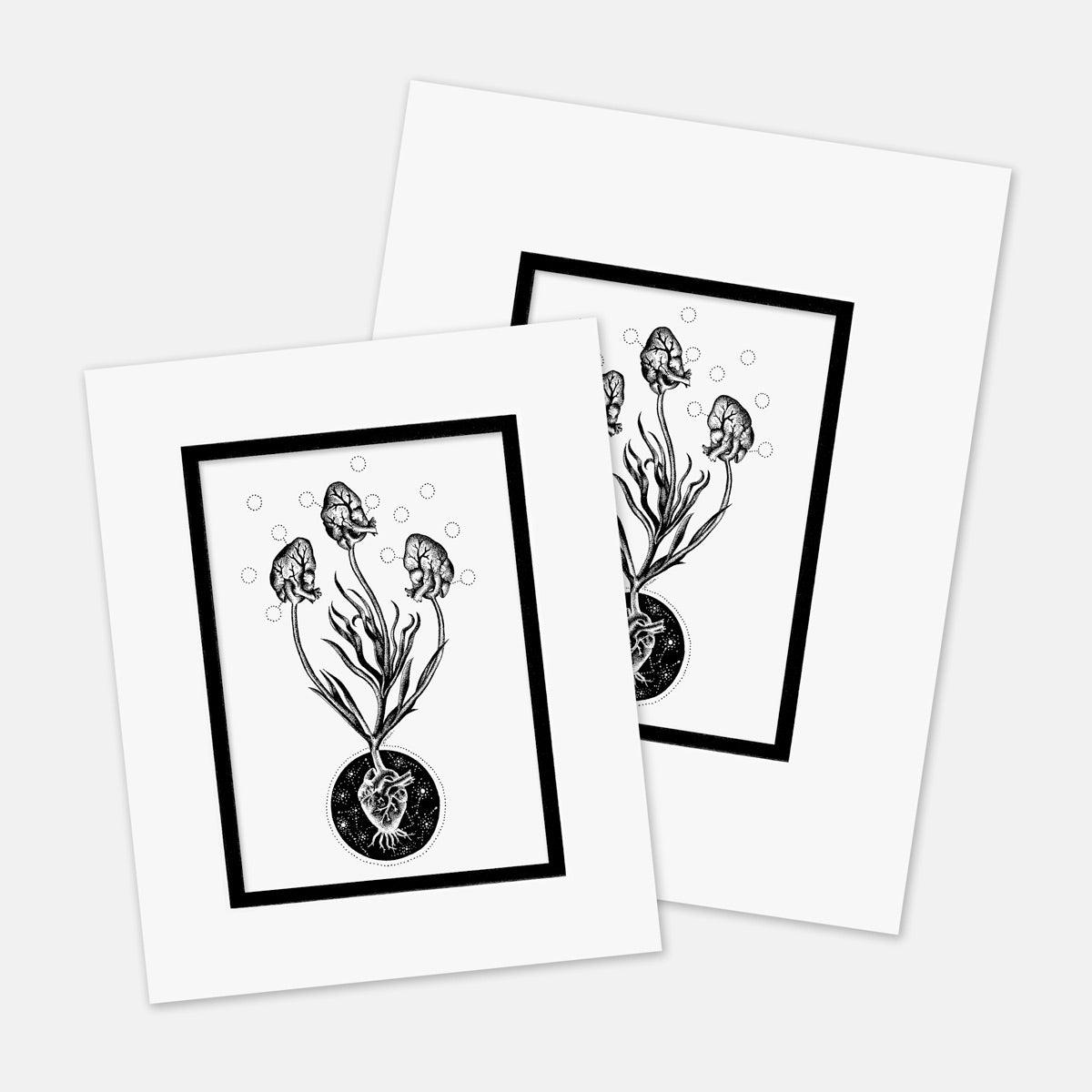 "Exchange Rate" : Mat Boards that Original and Limited Edition Prints get shipped in