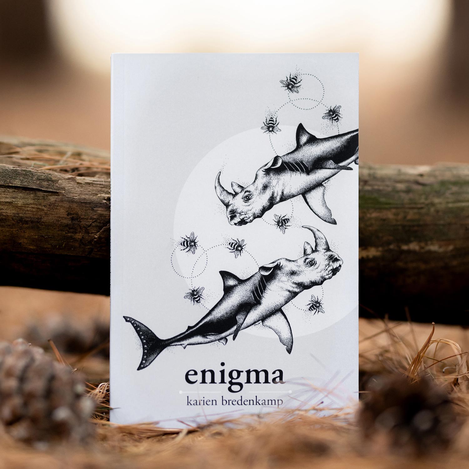 Enigma: A Book of Illustrated Poetry