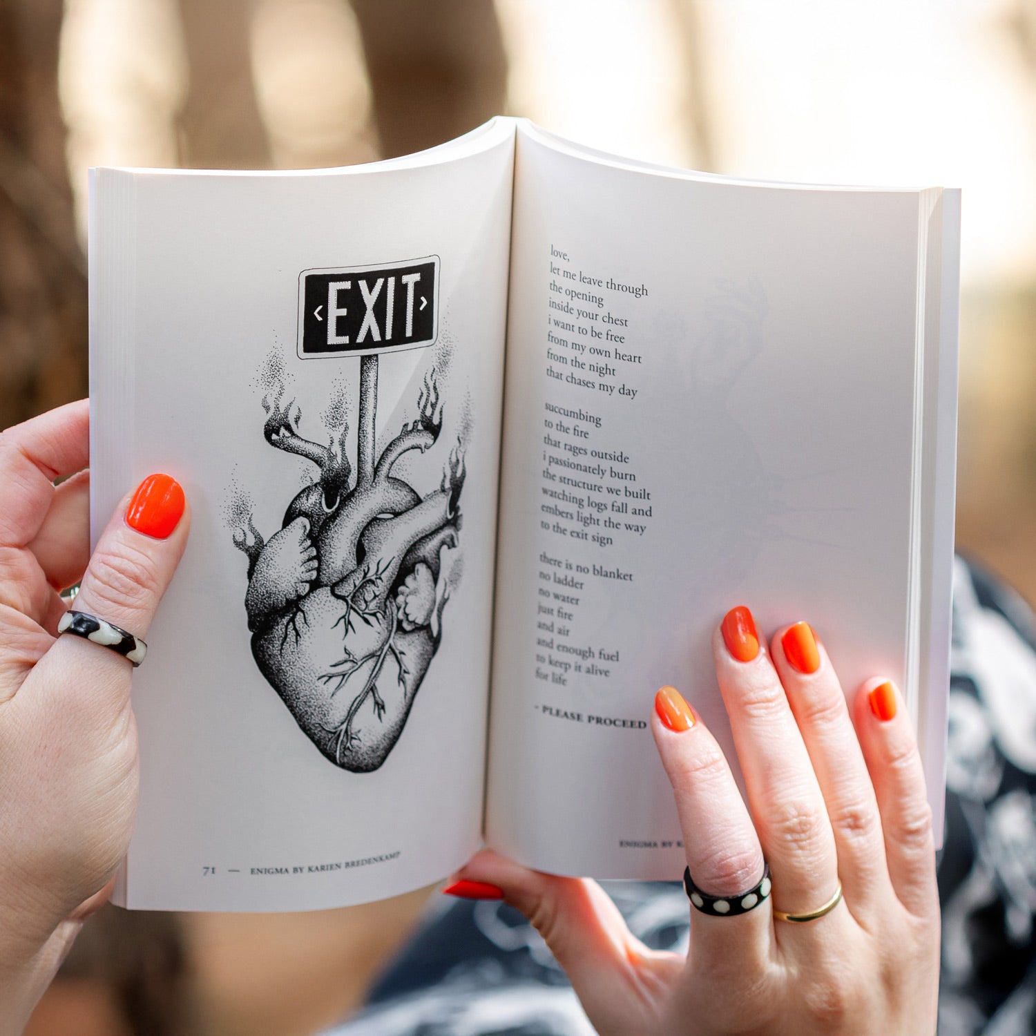 Enigma: A Book of Illustrated Poetry