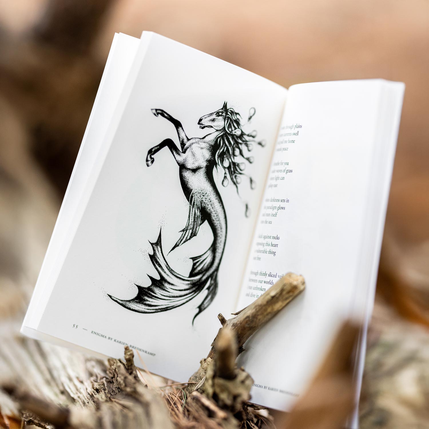 Enigma: A Book of Illustrated Poetry