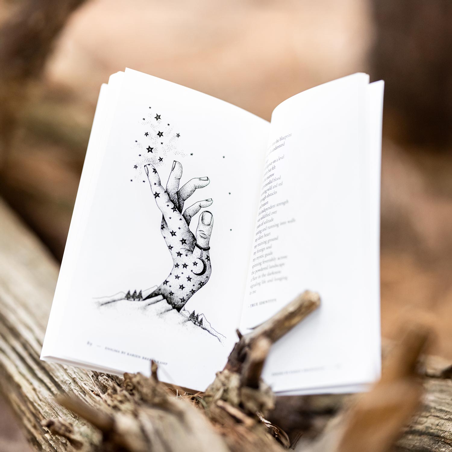 Enigma: A Book of Illustrated Poetry