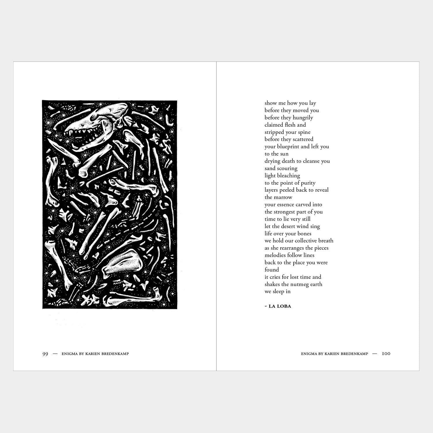 Enigma: A Book of Illustrated Poetry