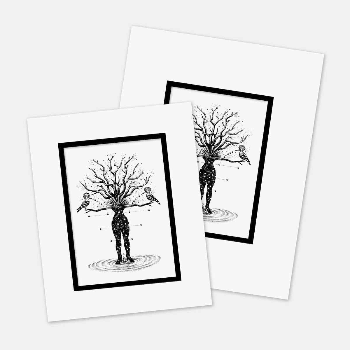 "Mea" : Mat Boards that Original and Limited Edition Prints get shipped in