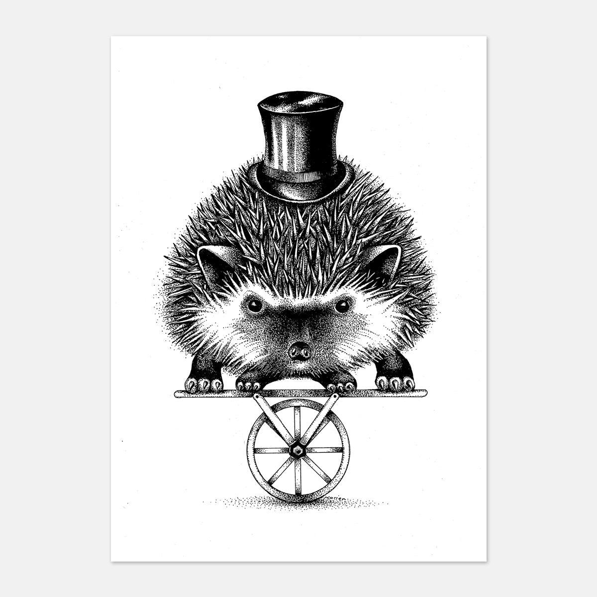 "Mr Hoghedge" : Original Artwork by Karien Bredenkamp