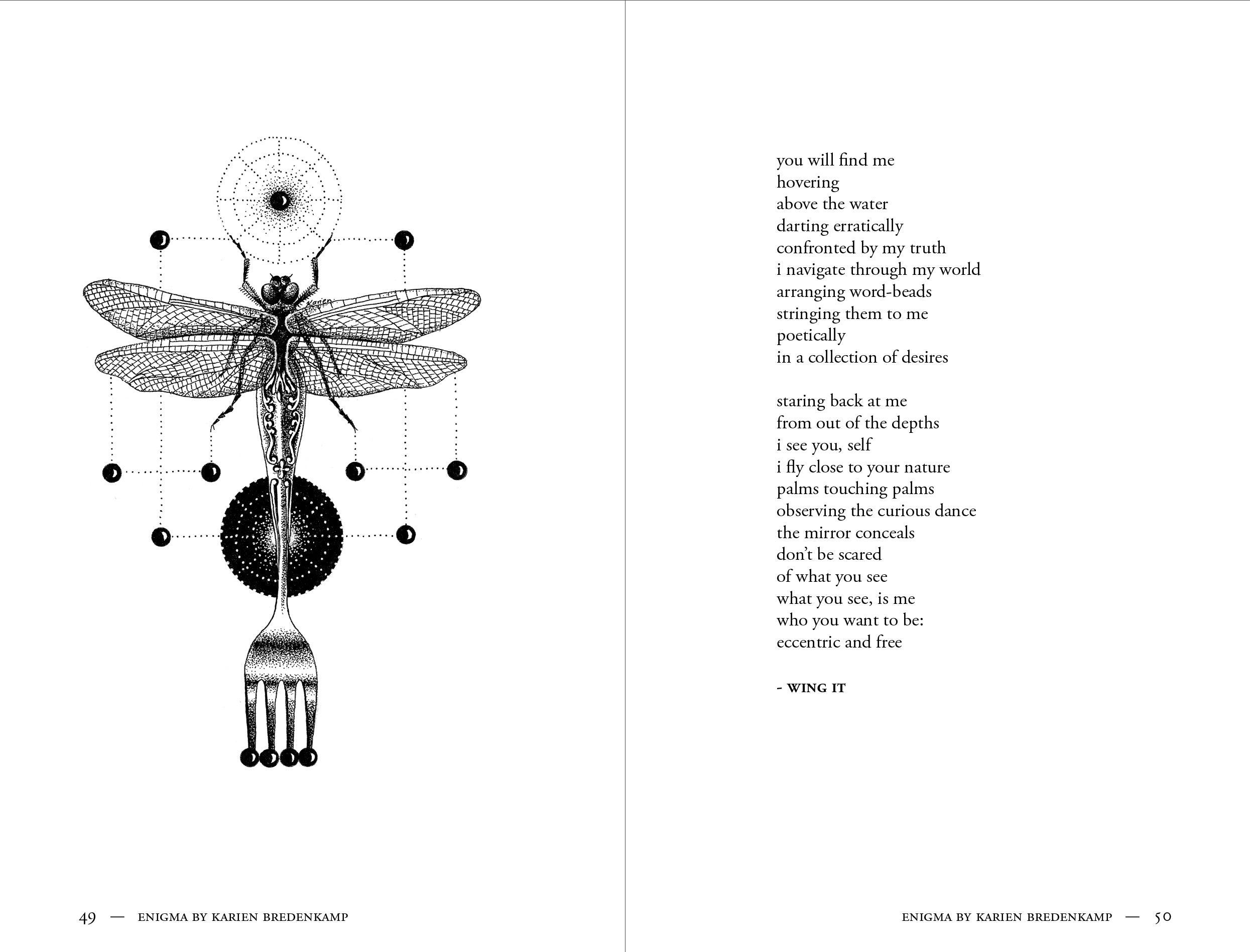 Enigma Book - Karien Bredenkamp