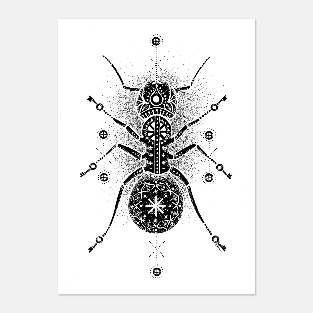 “ANT-icipation” : Original Artwork by Karien Bredenkamp