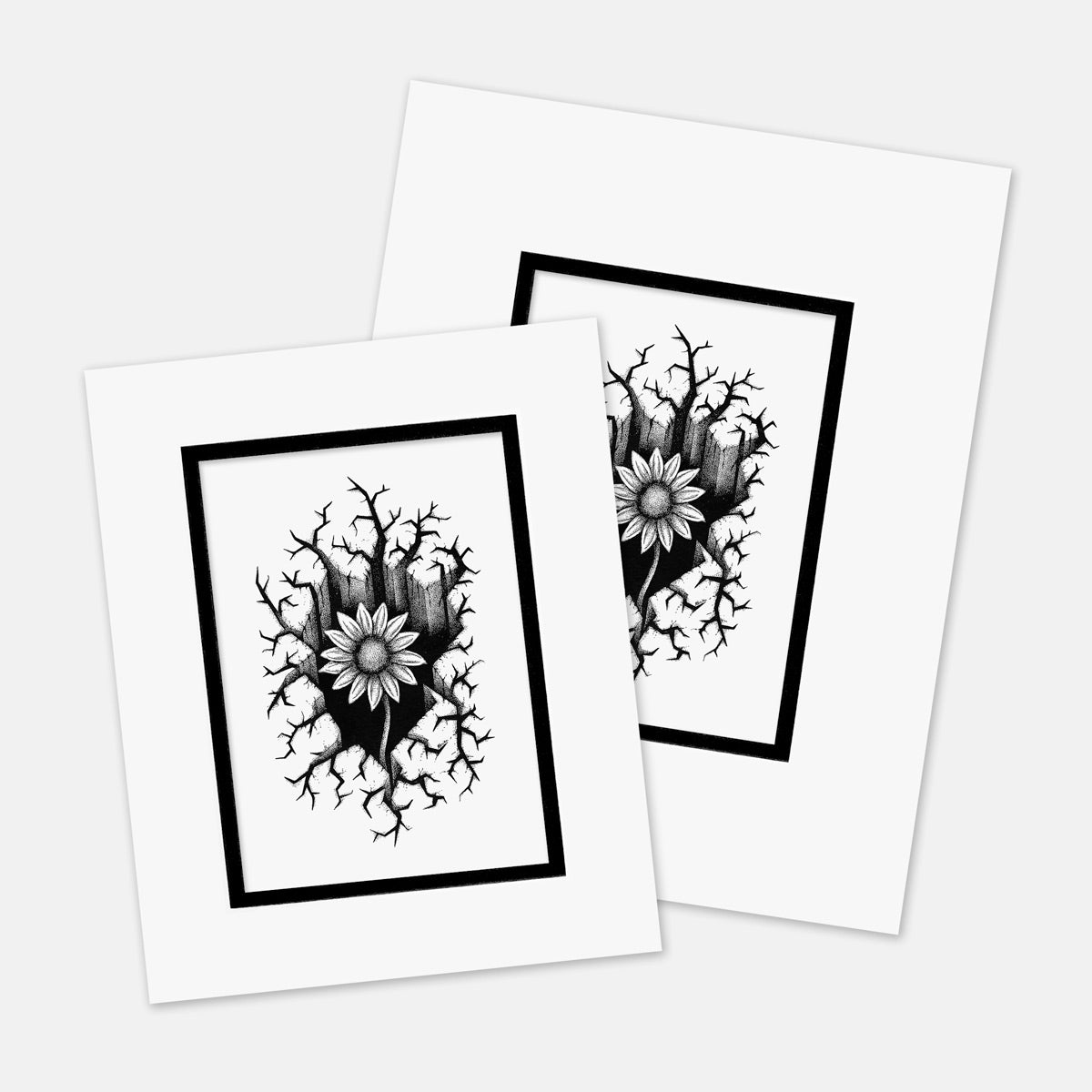 “Unearthed” : Mat Boards that Original and Limited Edition Prints get shipped in