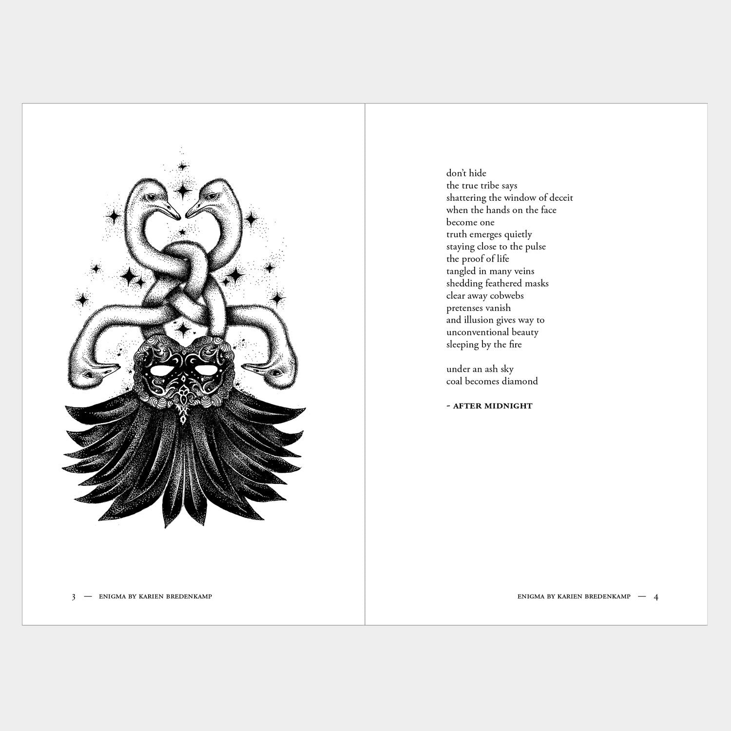 Enigma: A Book of Illustrated Poetry
