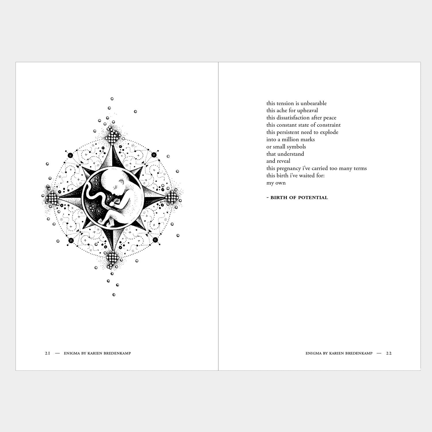 Enigma: A Book of Illustrated Poetry