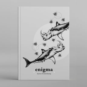 Enigma Book - Karien Bredenkamp
