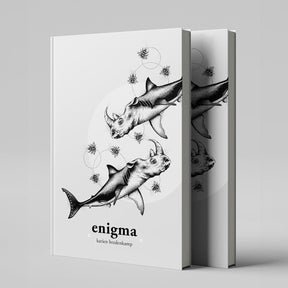 Enigma Book - Karien Bredenkamp