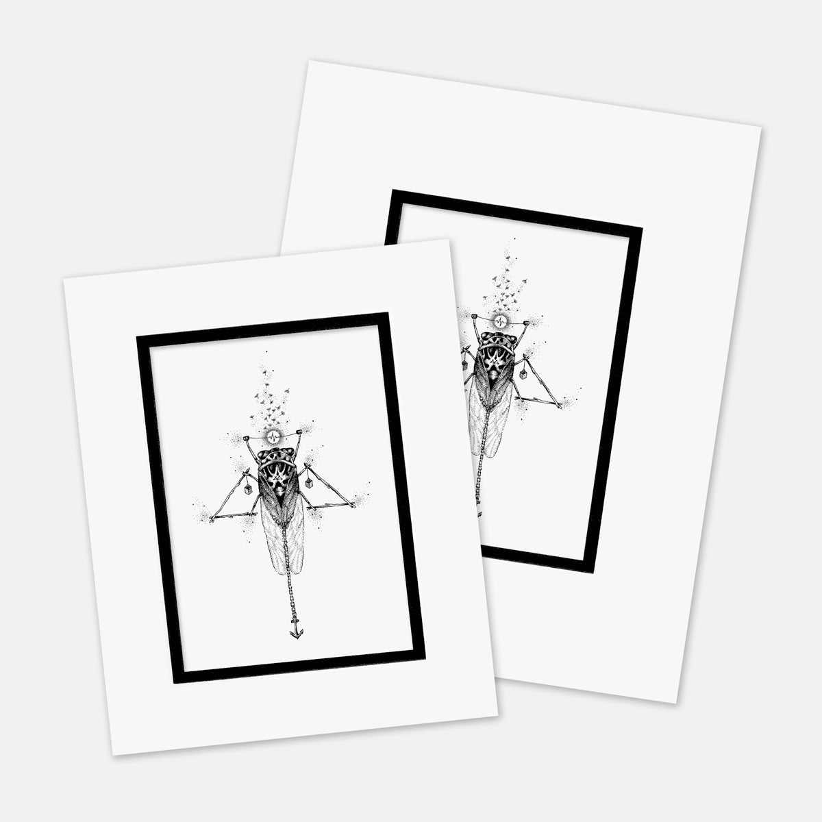 "Cicada" : Mat Boards that Original and Limited Edition Prints get shipped in
