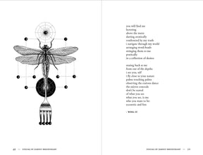Enigma Book - Karien Bredenkamp