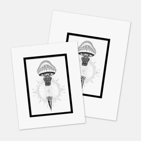 "Transdifferentiation" : Mat Boards that Original and Limited Edition Prints get shipped in