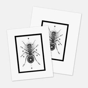 “ANT-icipation” : Mat Boards that Original and Limited Edition Prints get shipped in